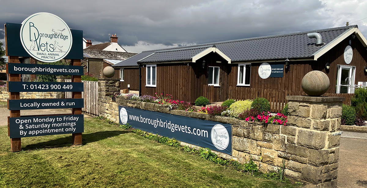 We are an independent practice but what does that mean?