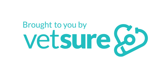 Logo_Brought to you by Vetsure