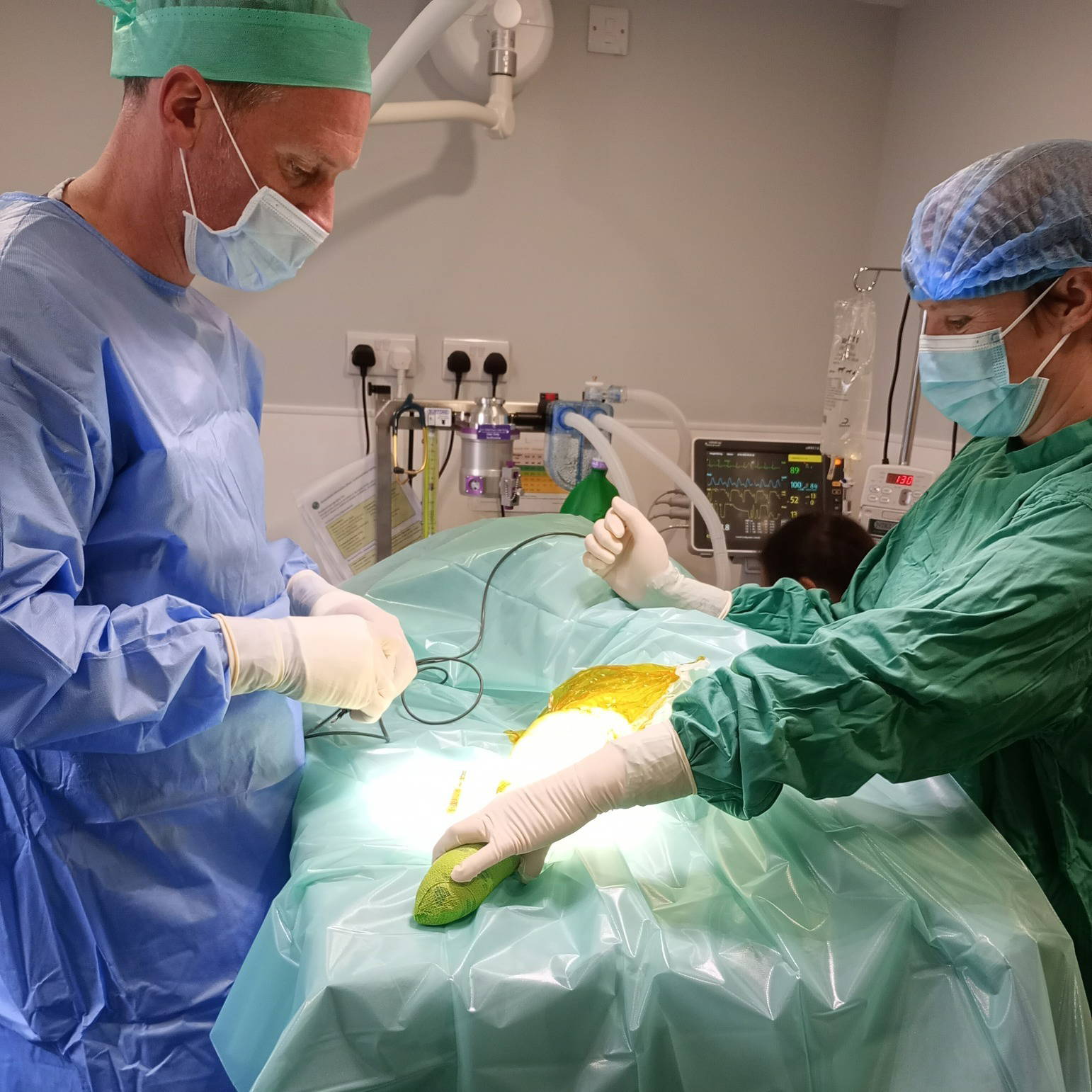 Introducing Steve Kirby, BVetMed CertSAS MRCVS