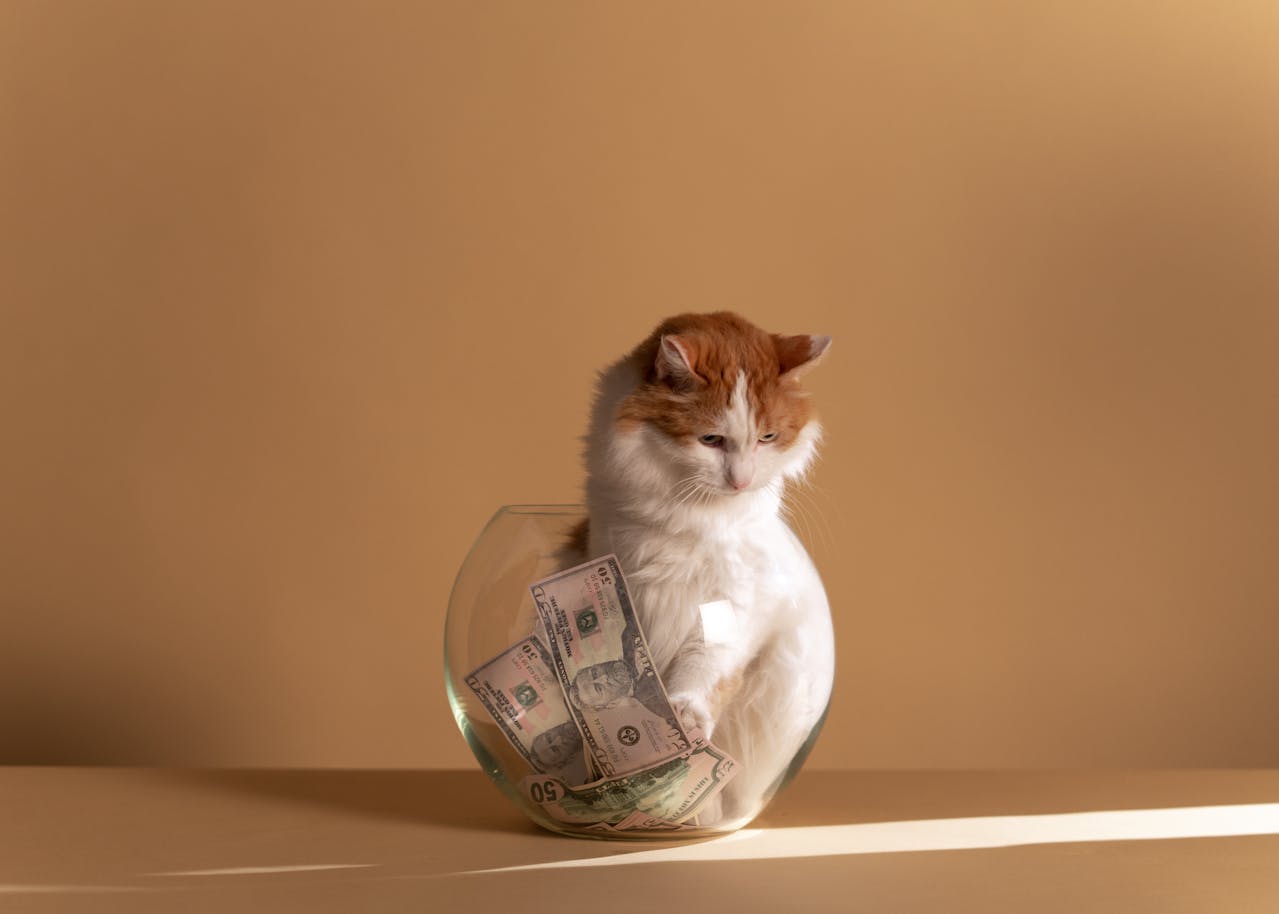 Helpful tips for budgeting for your pet.