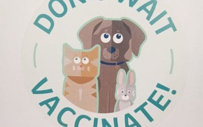 Don’t wait, vaccinate!