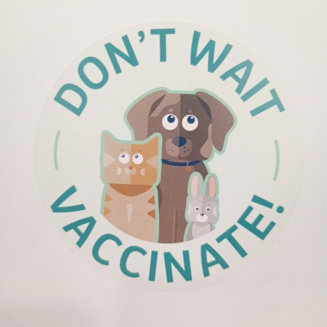 Don’t wait, vaccinate!