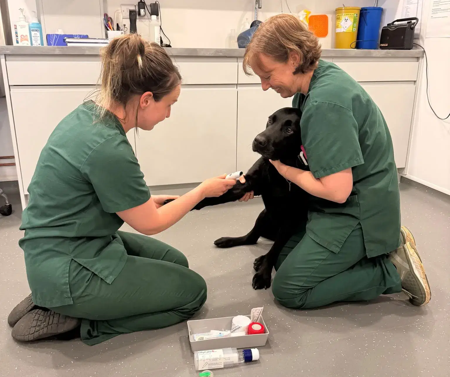 Vet Nurse Awareness Month